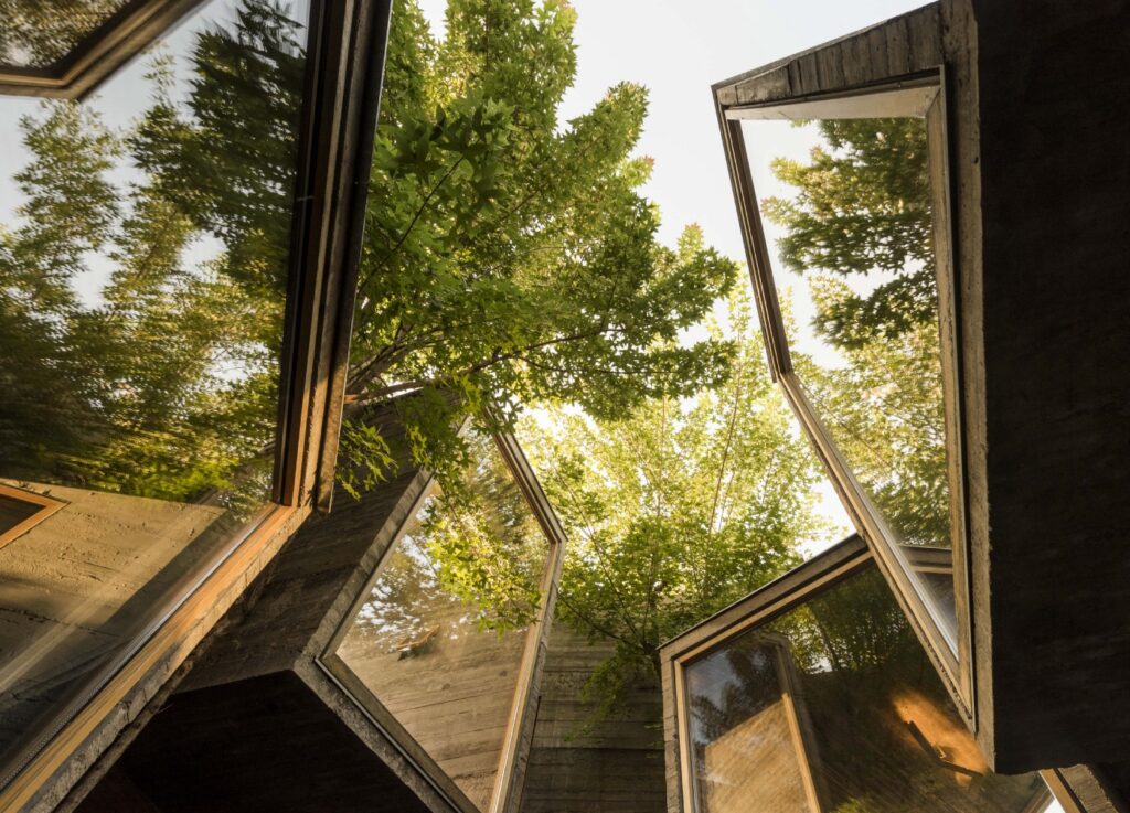 Micro-Hutong, an open space sheltered in greenery