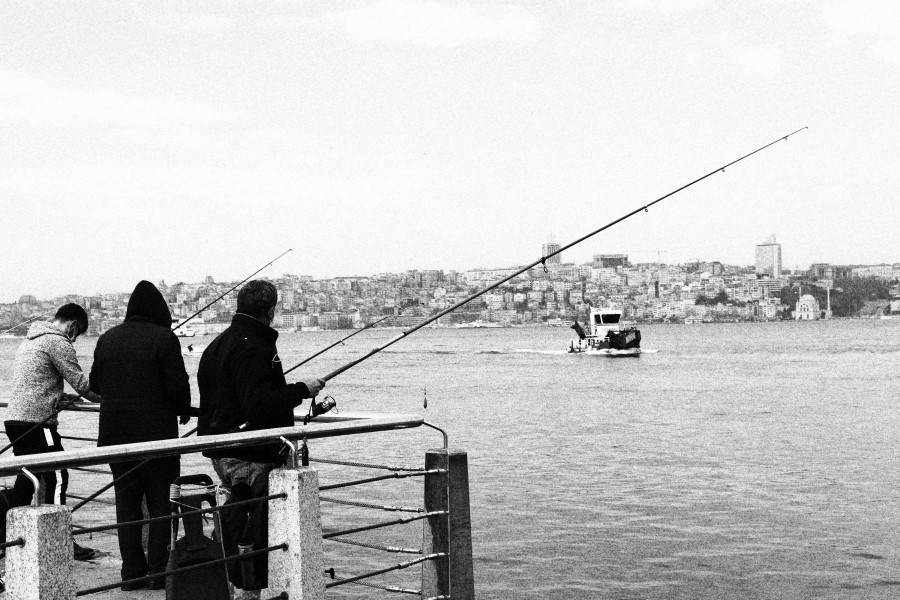 fishing in Tokyo